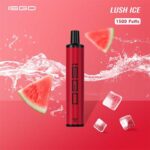 ISGO Paris disposable vape