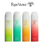 Ripe Vapes Palm Disposable In Dubai